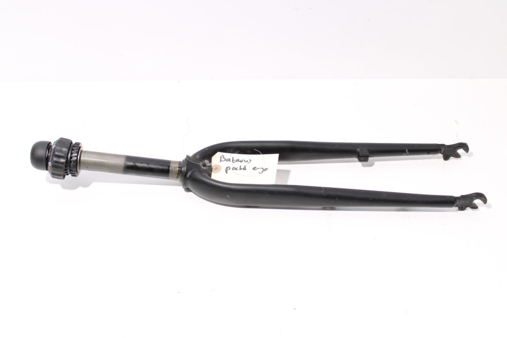 Voorvork | Batavus Packd E-go