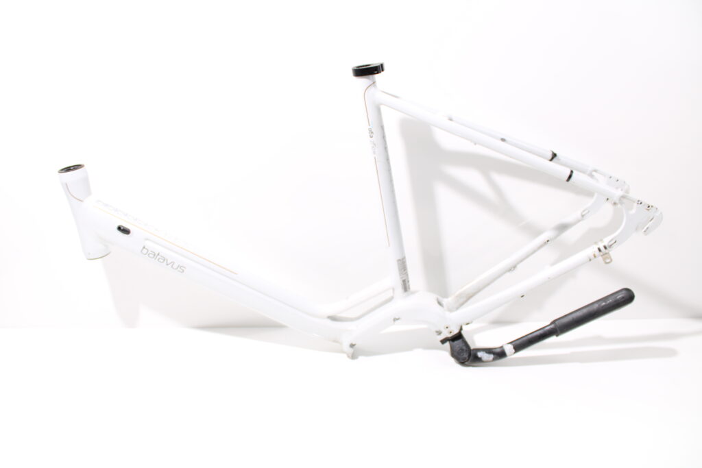 Frame | Dames | hoogte 53 | Batavus Wayz E-go